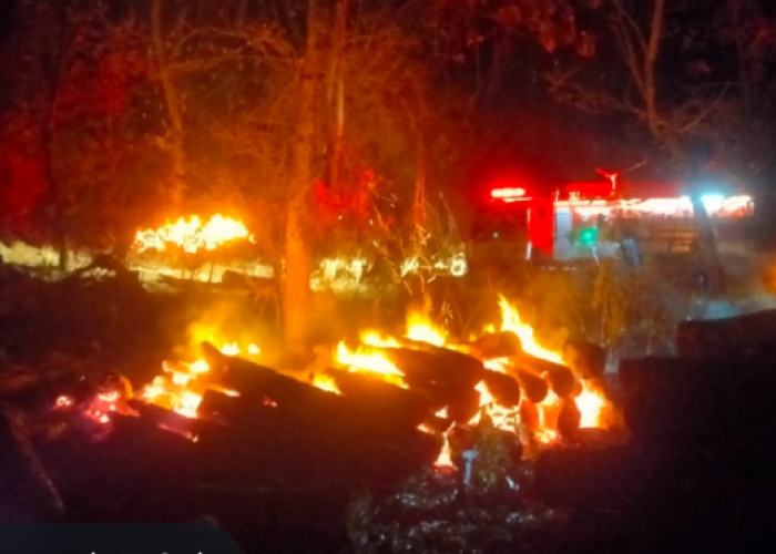 30 Meter Kubik Kayu Mahoni Terbakar di Boyolali, Kerugian Lebih Rp30 Juta