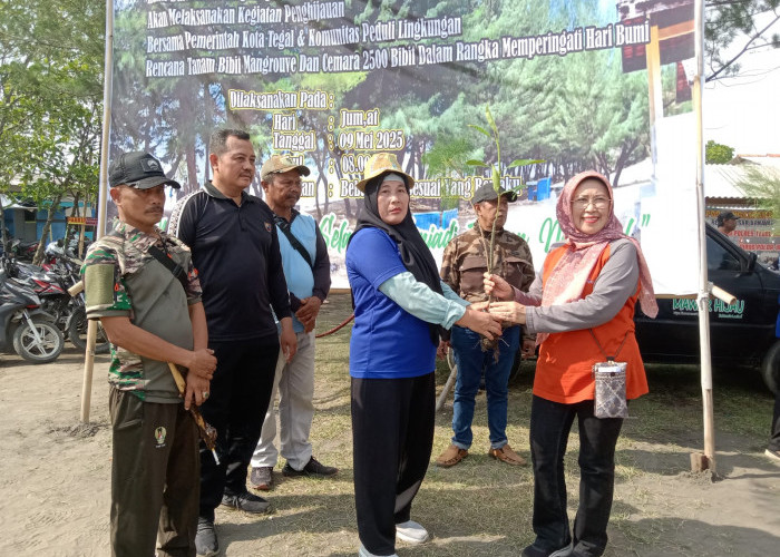 DLH Bersama Polairud Polres Tegal Kota Tanam 2500 Bibit Magrove dan Cemara