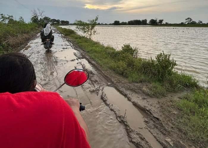 Ratusan Petani Korban Banjir di Kudus Diusulkan Dapat Asuransi Usaha Tani Padi