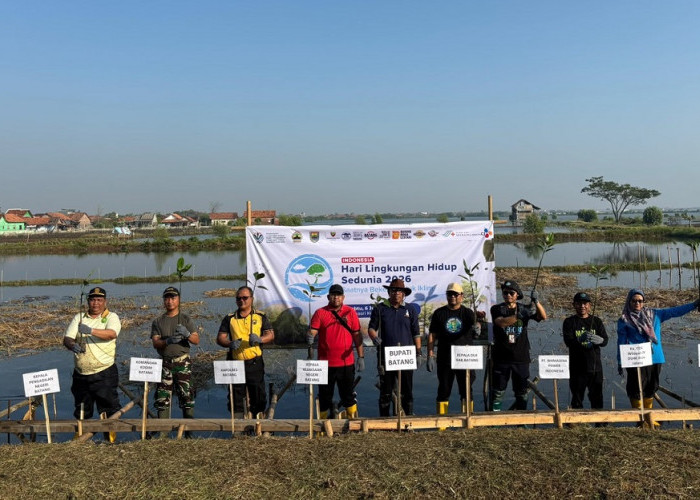Hadapi Krisis Iklim dan Abrasi di Batang, 30 Ribu Mangrove Jadi Solusi 