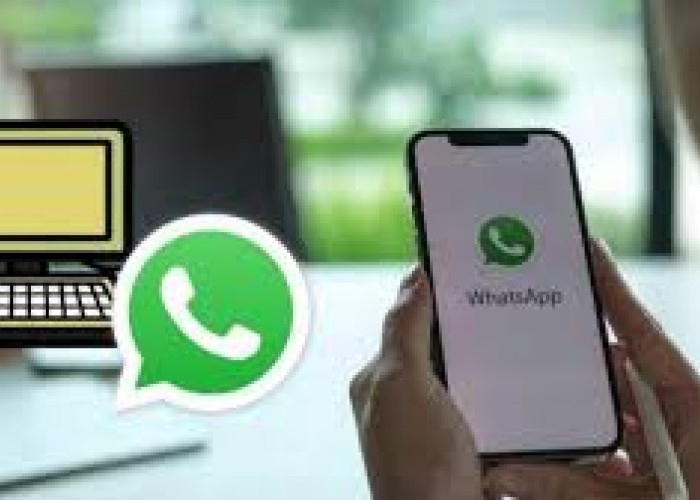 7 Tips Mengamankan Kontak WhatsApp dari Pinjol agar Tidak Disebar dan Disalahgunakan 