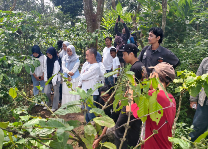 Touring ke Lereng Muria, Konsumen Yamaha Diajak Petik Kopi hingga Racik Sendiri