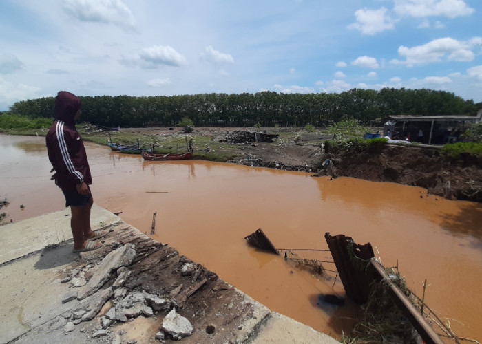 Jembatan Beringin Ambrol, Pemkot Semarang Kaji Opsi Darurat dan Usulkan Jembatan Permanen Tahun Depan