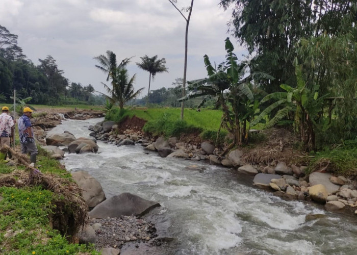 52 Saluran Irigasi di Kabupaten Batang Kritis, Butuh Rp12 Miliar untuk Perbaikan Permanen