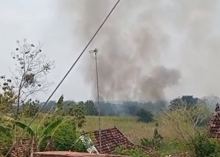 Kebakaran Hanguskan 2 Hektare Lahan Tebu di Rembang, Kerugian Capai Rp100 Juta