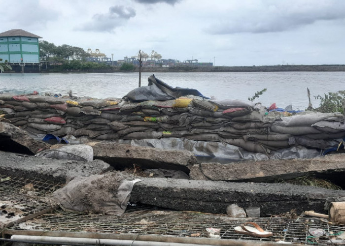 Pelindo Siaga Penuh, 64 Pompa Dikerahkan Usai Tanggul Jebol di Tanjung Emas Semarang