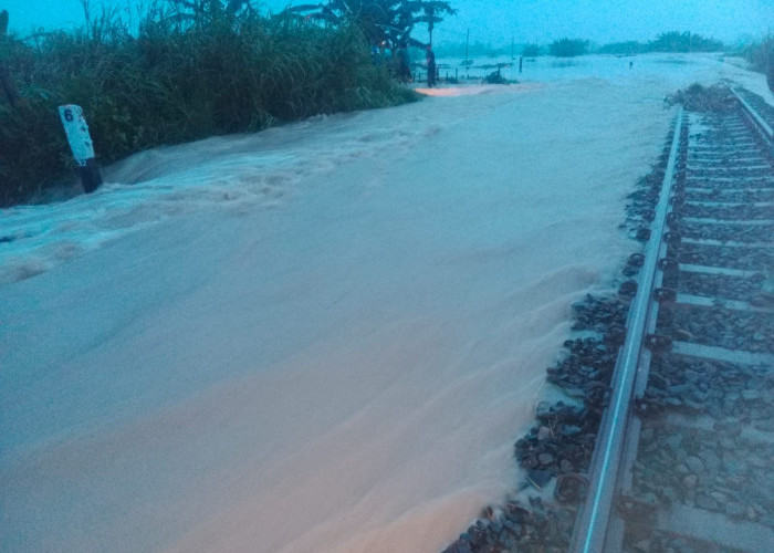 Perjalanan 5 KA Terganggu Akibat Banjir di Petak Jalan Gubug-Karangjati, Tertutup Setinggi 20cm