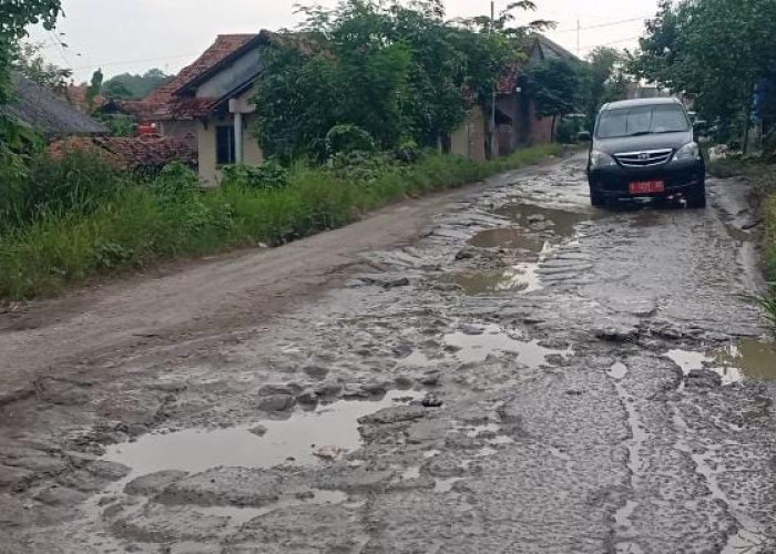  300 KM Jalan di Brebes Rusak Berat, Pj Bupati: Perbaikkan Butuh Empat Tahun
