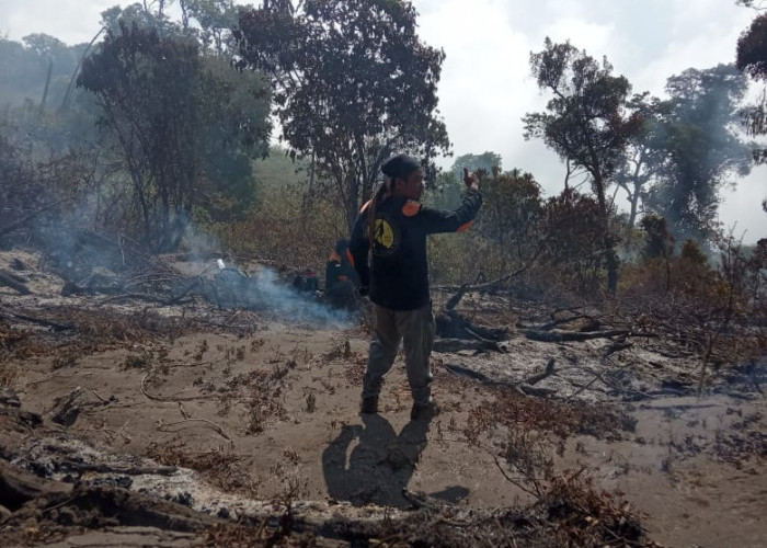 Hutan di Gunung Slamet Kabupaten Tegal Terbakar, Kenapa?