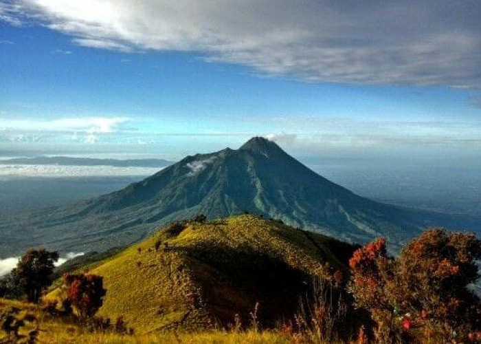 5 Rekomendasi Spot Foto Terbaik di Gunung Merbabu, Keindahannya Bikin Jatuh Hati