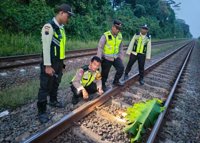 Tragis, Seorang Warga Tewas Tertemper KA Blambangan Express di Kandeman Batang