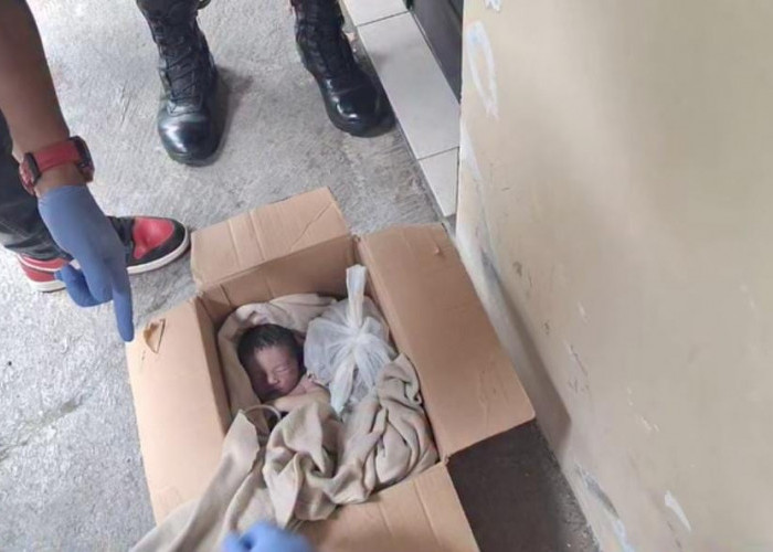 Jasad Bayi Laki-Laki Ditemukan dalam Kardus di Teras Kost Putri Jebres