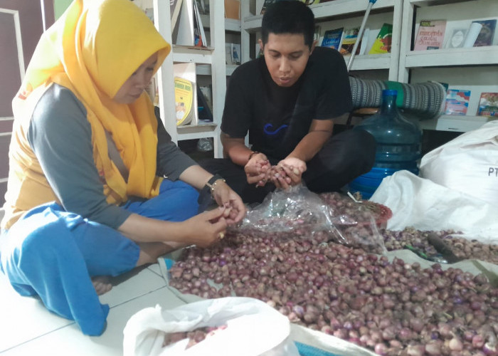 Petani Milenial, Harapan Ketahanan Pangan Indonesia dengan Inovasi dan Teknologi