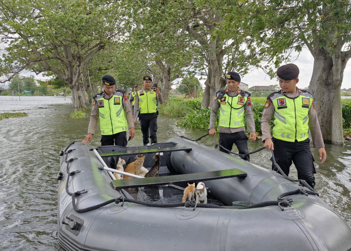 Nenek Pengungsi Bersedih Pikirkan Nasib Kucingnya Kebanjiran, Kapolres Kudus Trenyuh