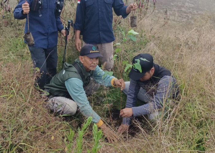 Perum Perhutani KPH Pekalongan Gelar Aksi Penyulaman Hutan Lindung Sawangan