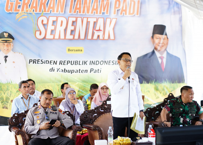 Petani Ditarget Panen 10 Ton, Pati Jadi Pemasok Beras Terbesar di Jateng
