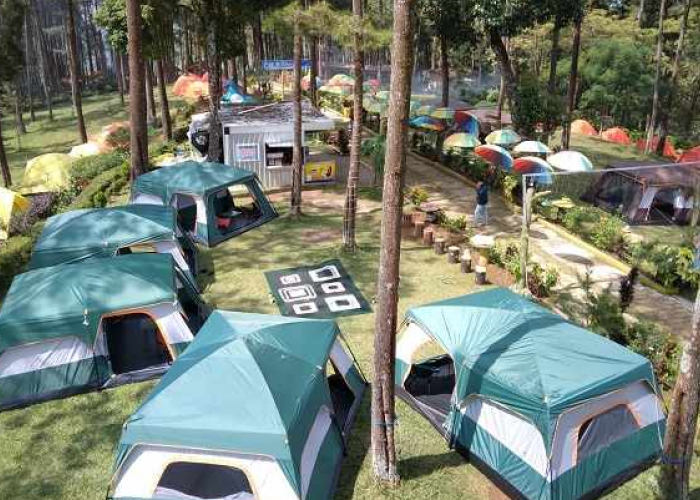 Wisata Bumi Perkemahan Alastuwo, Tempat Camping Nomor Satu di Magetan dengan View Gunung Lawu