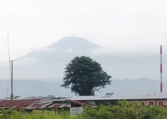 Suhu Kawah Naik Drastis Status Gunung Slamet Waspada, Jalur Pendakian Ditutup