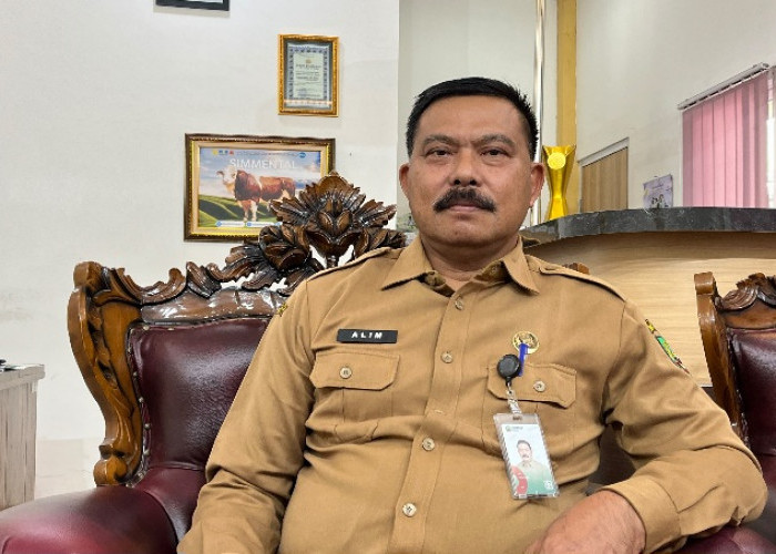 Hama Tikus Rusak Jagung Petani Sambongrejo, DP4 Blora Siapkan Obat