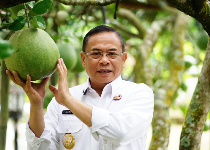 Ambisi Besar Durian Musangking dan Blackthorn plus Kopi Pati Merajai Pasar Indonesia 