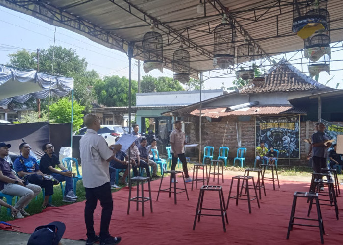 Cerita Joker, Murai Batu asal Reban yang Juara di Gringsing Batang Saat Tak Fit