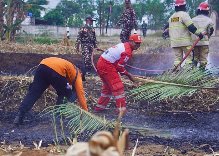 Bakar Lahan Bekas Jagung, PMI Batang Latih Relawan Padamkan Karhutla