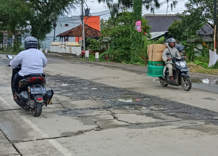DPUPR Grobogan Akan Segera Tangani Sejumlah Jalan Berlubang di Wirosari