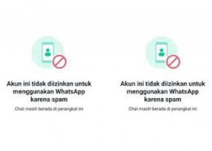 6 Cara Mengatasi Spam di Whatsapp yang Mengganggu