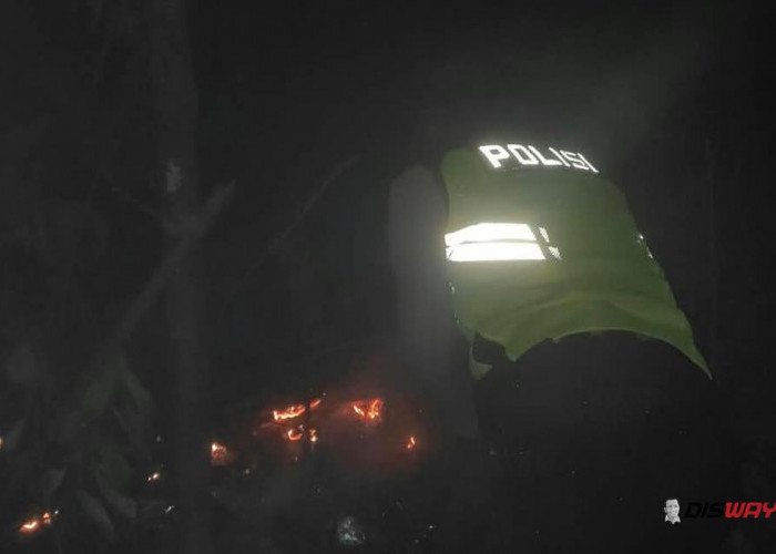 Api Lahap 2,5 Hektare Hutan Pinus di Sadang Kebumen, Padam Setelah 4 Jam