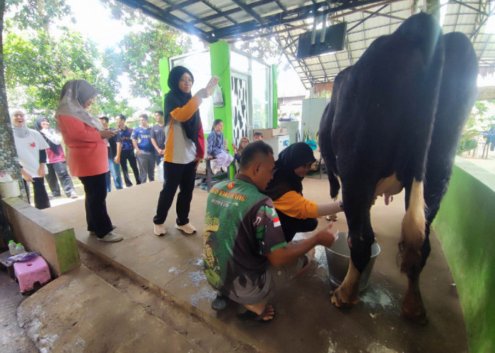 Mahasiswa Malaysia Belajar UMKM Kolang-Kaling dan Peternakan Sapi Perah di Desa Wisata Jatirejo Semarang