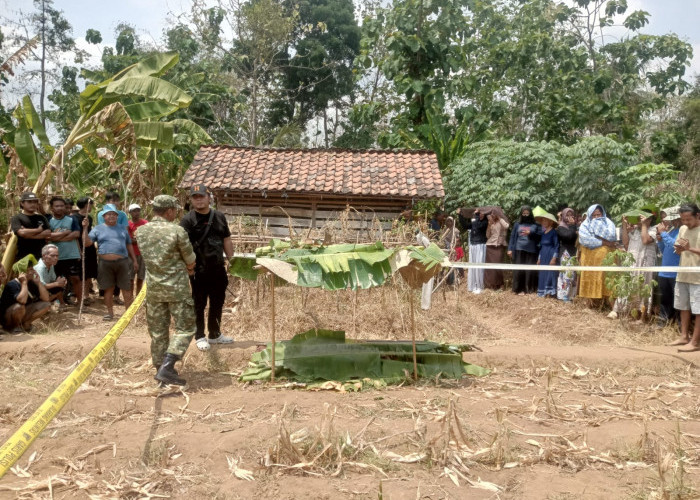 Ngeri! Masalah Sepele Soal Kerbau Berujung Pembunuhan Ayah oleh Anak Kandung di Brebes