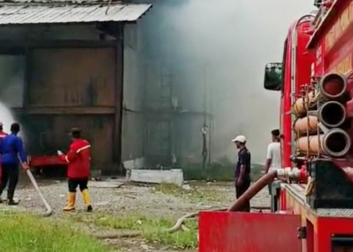Kandang Ayam di Desa Wanamulya Kabupaten Pemalang Terbakar, Kerugian Tembus Rp1 Miliar 