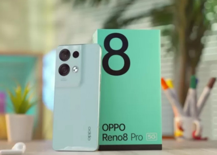 Mewah dan Murah! Spesifikasi dan Harga Oppo Reno 8 Pro, Handphone terbaik 2023!