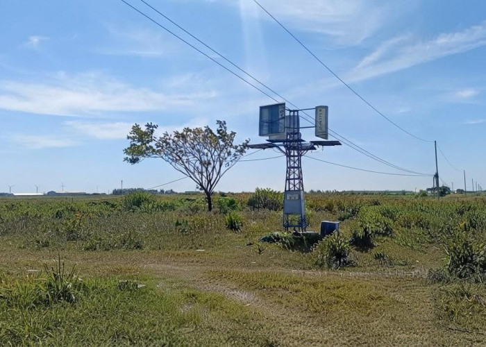 Manfaatkan Dana Desa, Banjarsari Demak Pasang PLTS, 18 PJU Terang Sepanjang 900 Meter