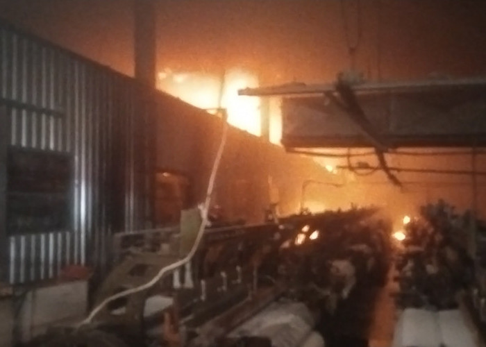 Damkar Kerahkan 14 Armada Padamkan Kebakaran PT Unggulrejo Wasono di Purworejo