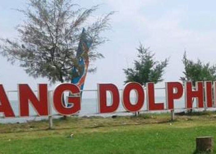 Batang Dolpin Center: Wisata yang Cocok untuk Berlibur Anak-anak