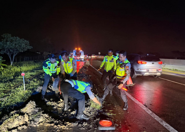Evakuasi Bus Terperosok di Tol Pejagan–Pemalang, Kapolres Tegal Turun Langsung ke Lokasi