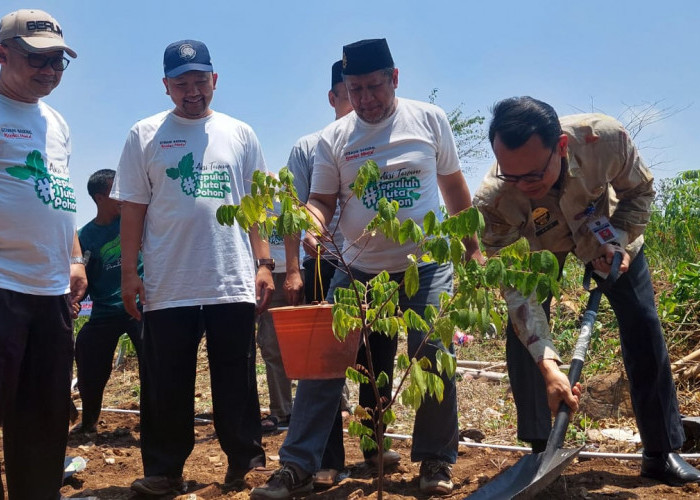 Kemenko PMK dan Muhammadiyah Tanam Sejuta Pohon