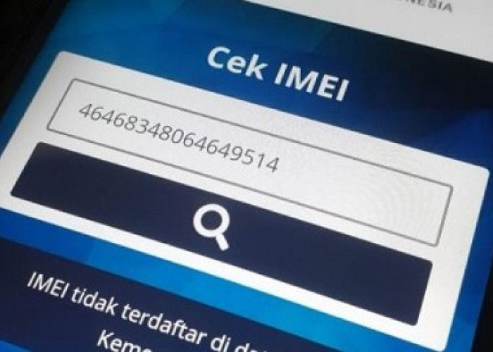 Cara Mudah Mengecek IMEI iPhone Terblokir atau Tidak 