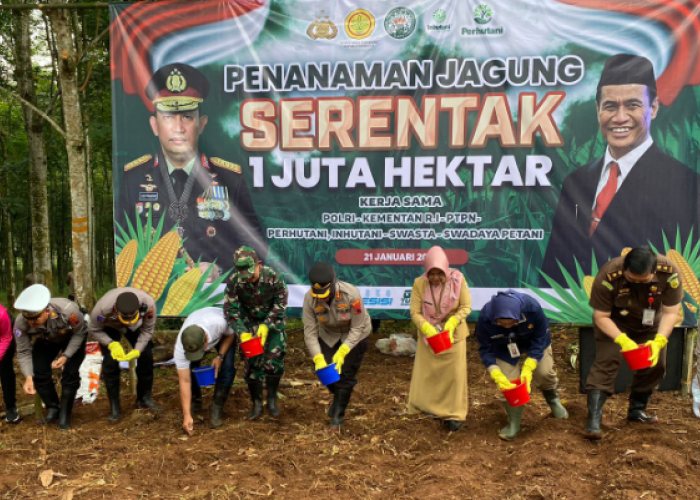 Didukung Pupuk oleh Pemkot, Polres Salatiga Tanam Jagung Dilahan Seluas 1.000 Meter