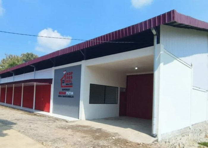 Pengurus Kopdes Merah Putih Rembang Resah, Juknis Belum Jelas dan Manajer Luar Datang 