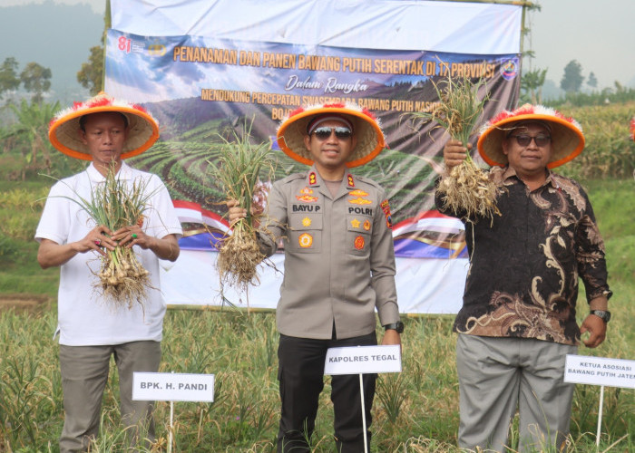 Panen Raya Bawang Putih di Lereng Gunung Tegal, Polri Bersama Petani Gaspol Menuju Swasembada Nasional!