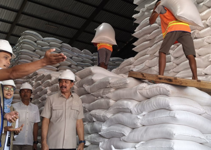 DPR RI Sriyanto Saputro Pastikan Lumbung Pangan Jateng Aman, Bulog Antisipasi El Nino