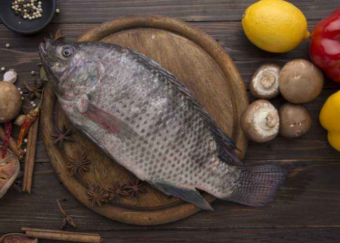 Apakah Ikan Nila Aman untuk Penderita Kolesterol? Ini Penjelasannya!