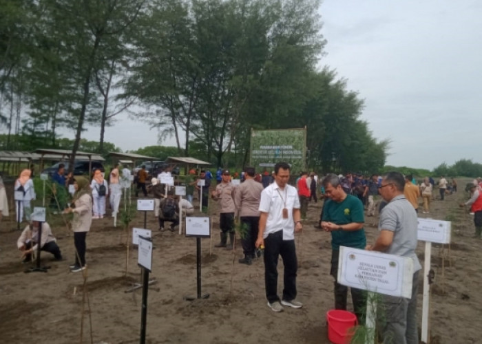 Dukung Upaya Mengatasi Perubahan Iklim di Kabupaten Tegal 