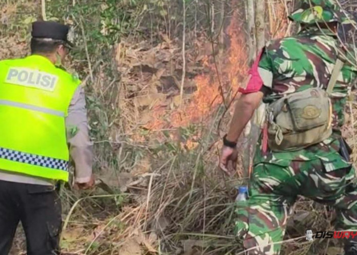 Kebakaran Hutan Perhutani di Buayan Kebumen, Dua Hektare Lahan Hangus