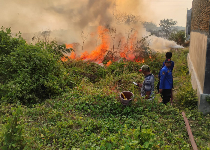 Api Lahap Lahan di Tegal Sehari Tiga Kali, Petugas Damkar Keliling Marathon