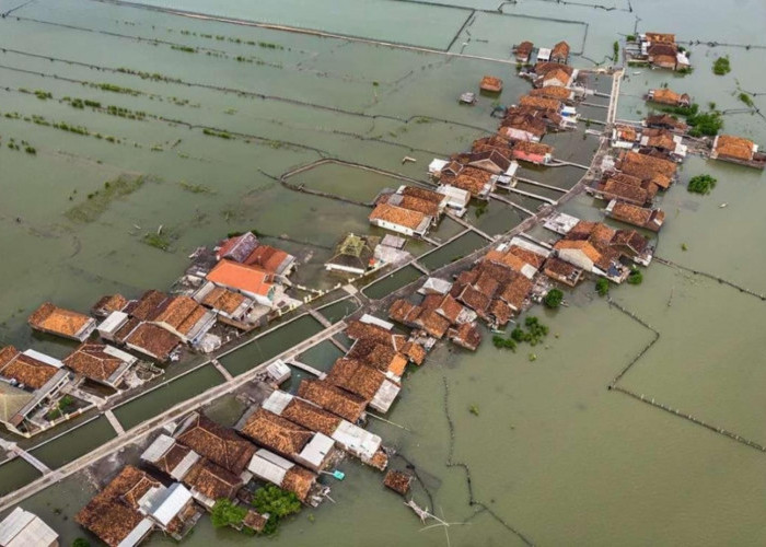 19 Perenang Taklukkan Selat Madura demi Warga Demak, Misi Selamatkan Timbulsloko dari Ancaman Rob