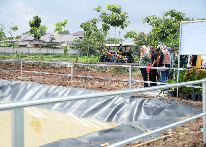 Perkuat Sektor Pertanian, Pemkot Semarang Resmikan Embung Geomembran 