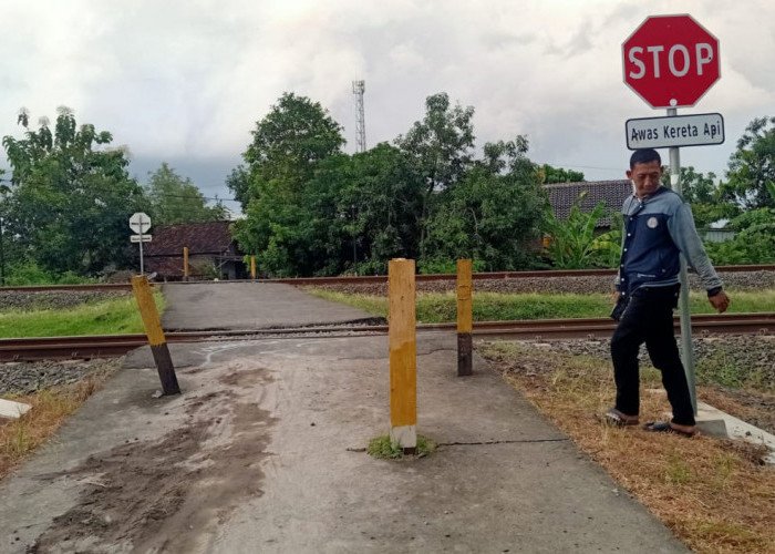 KA Harina Tabrak Motor di Perlintasan Brangsong Kendal, Ini Kata KAI